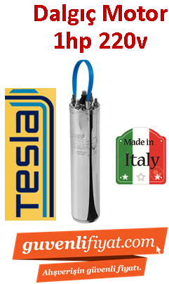 TESLA 1HP 220V Dalgıç motoru İtalyan Malı (motor)