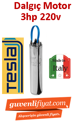 TESLA 3HP 220V Dalgıç motoru İtalyan Malı (motor)