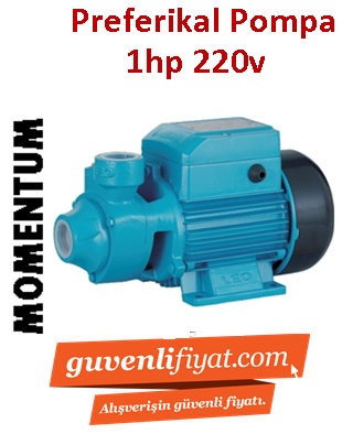 MOMENTUM PKM 80 1Hp 220V Preferikal Sürtme Fanlı Pompa