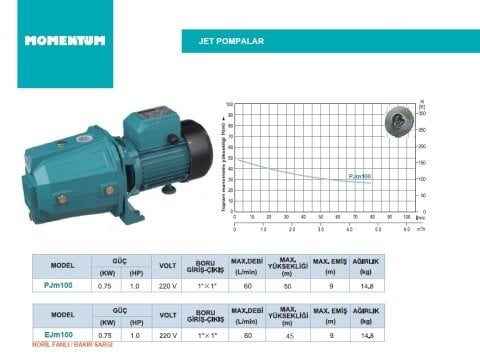 MOMENTUM PJm100 1Hp 220v Döküm Gövdeli Jet Pompa