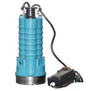 LEO XQS8.1-25/1.1l DRENAJ SUYU TEMİZ SU POMPASI