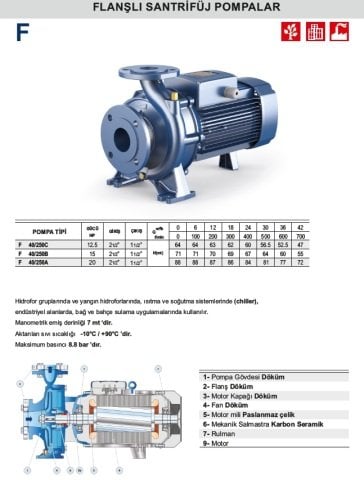 F 40/250B 15 HP 380V FLANŞLI SANTRİFÜJ POMPA