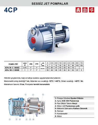 PEDROLLO 4CPm 80C 0.75HP 220 V (SESSİZ) DÖKÜM GÖVDELİ JET POMPA