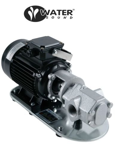 WATER SOUND WCB-100M, 1.5HP, 220V, DİŞLİ, YAĞ TRANSFER POMPASI [ 2800 d/d ]