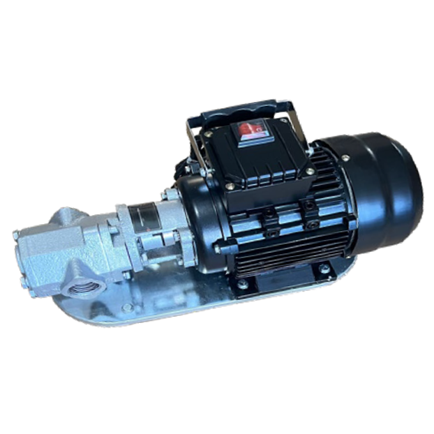 Water Sound WCB-100T Dişli Yağ Transfer Pompası