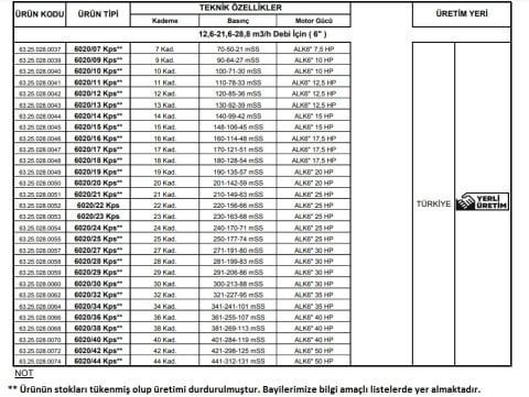 Alarko 6020/22 Kps  25Hp  6'' Paslanmaz Derin Kuyu Dalgıç Pompa (Motor+Pompa) ALK-KPS Serisi