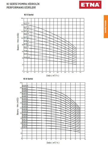 Etna KI 8/17-75     10Hp 380V  Dik Milli Komple Paslanmaz Çelik Çok Kademeli Santrifüj Pompa