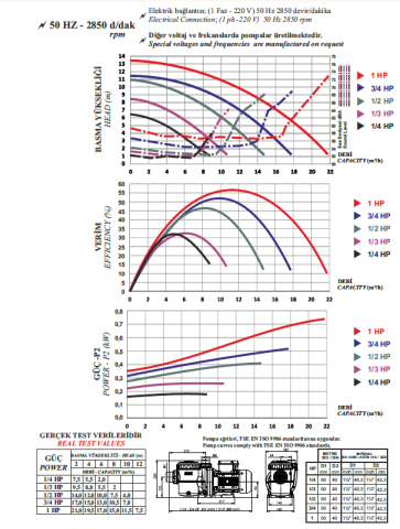 Nozbart Hamsi Serisi PMH - 1/2 Hp Monofaze Ön Filtreli Havuz Pompası
