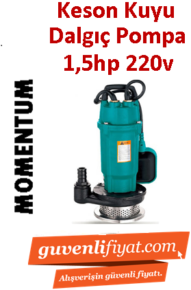 MOMENTUM PDX10-18/1.1 1.5hp 220v Temiz Su Keson Kuyu Dalgıç Pompa ( Yüksek İrtifalı )