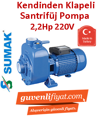 SUMAK DSM220/2 2.2Hp 220v Kendinden Klapeli Santrifüj Pompa