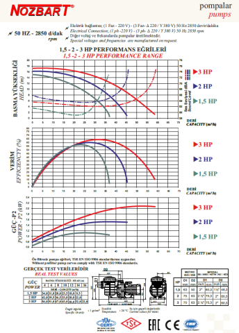 Nozbart Çoşkun Serisi PTF-018 - 1.5 Hp Ön Filtreli Havuz Pompası (Trifaze)