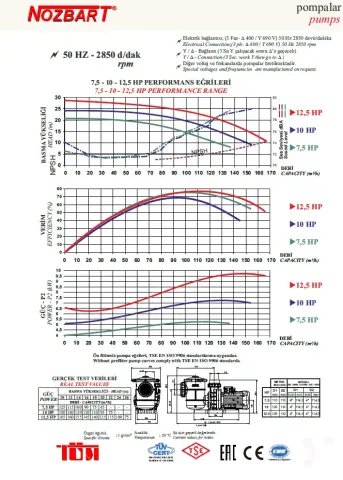 Nozbart Süper Tufan Serisi PTF-100S - 10 Hp Ön Filtreli Havuz Pompası