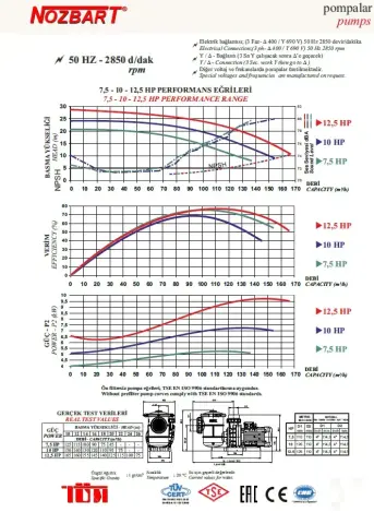 Nozbart Süper Tufan Serisi PTF-125S - 15 Hp Ön Filtreli Havuz Pompası