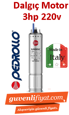 PEDROLLO 4PDm/3 3HP 220V Dalgıç motoru İtalyan Malı (motor)