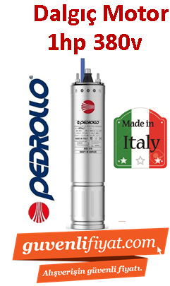 PEDROLLO 4PD/1 1HP 380V Dalgıç motoru İtalyan Malı (motor)