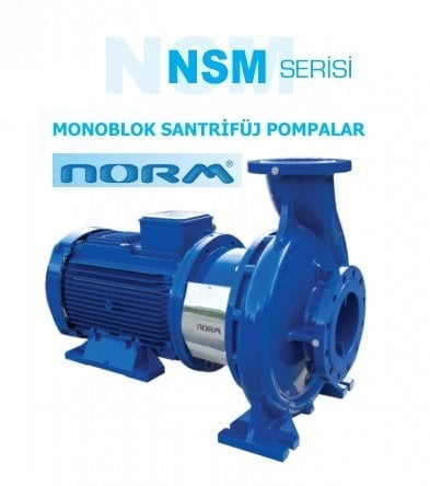 Norm NSM 150/315      45 kW  380V   Tek Kademeli Salyangoz Gövdeli Monoblok Santrifüj Pompa (1450 d/dk)