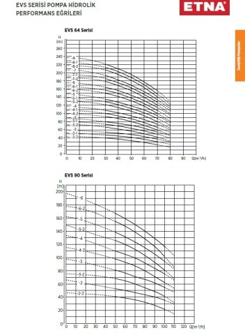 Etna EVS 45/11-450     60Hp 380V  Dik Milli Komple Paslanmaz Çelik Çok Kademeli Santrifüj Pompa