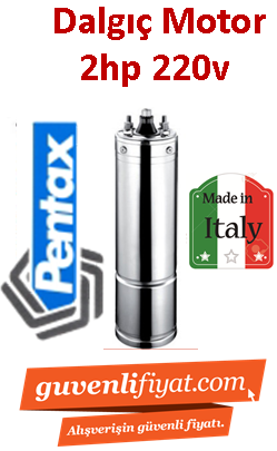 PENTAX 4MPE 20 2HP 220V Dalgıç motoru İtalyan Malı (motor)
