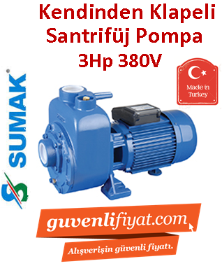 SUMAK DSMT300/2 3Hp 380v Kendinden Klapeli Santrifüj Pompa