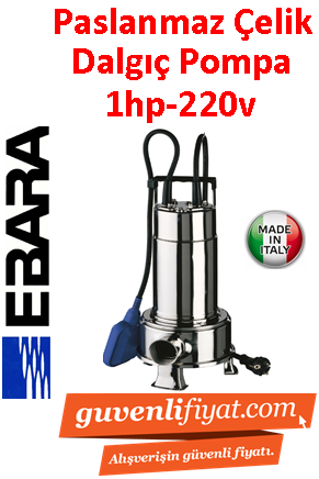 EBARA RIGHT 100 MA  220V 1HP Komple Paslanmaz Açık Fanlı Dalgıç Pompa
