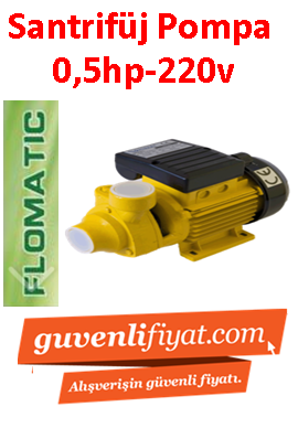 FLOMATİK PM 45M 0.5HP 220V Preferikal Sürtme Fanlı Santrifüj Pompa