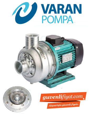 Varan Pompa DWB 300/1.1T 1.1kw-1.5hp (AISI 304) Komple Paslanmaz Çelik Santrifüj Pompa