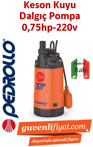 PEDROLLO TOP MULTI 3 220V 0.75HP Yüksek Basınçlı Keson Kuyu Dalgıç Pompa