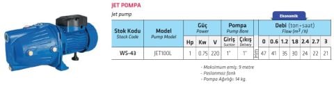 WATER SOUND, JET100L, 1HP, 220V, DÖKÜM GÖVDELİ, JET POMPA
