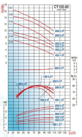 Varan Pompa CY100-80-200/5.5T 7.5hp (1500 d/d) Komple Paslanmaz Çelik (AISI 316) Kaplinli Santrifüj Pompa(