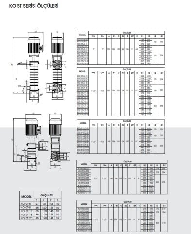 Etna  APS KO-ST 8/6-22     3Hp 380V  Komple Paslanmaz Çelik Dik Milli Çok Kademeli Santrifüj Pompa