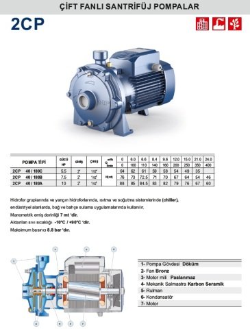 Pedrollo  2CPm 25 / 16A     3Hp 220V  Çift Fanlı Santrifüj Pompa