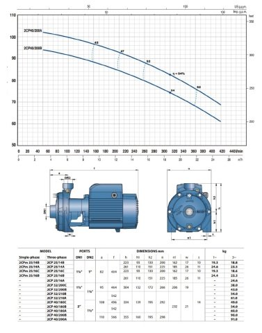 Pedrollo  2CPm 25 / 16A     3Hp 220V  Çift Fanlı Santrifüj Pompa