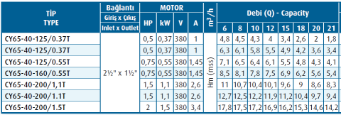 Varan Pompa CY65-40-125/0.55T 0.75hp (1500 d/d) Komple Paslanmaz Çelik (AISI 316) Kaplinli Santrifüj Pompa