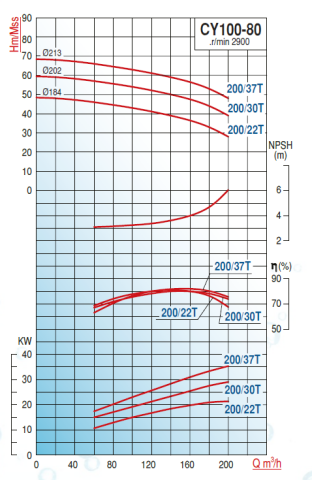 Varan Pompa CY80-65-125/7.5T 10hp (3000 d/d) Komple Paslanmaz Çelik (AISI 316) Kaplinli Santrifüj Pompa