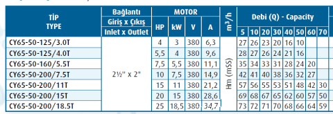 Varan Pompa CY65-50-200/18.5T 25hp (3000 d/d) Komple Paslanmaz Çelik (AISI 316) Kaplinli Santrifüj Pompa