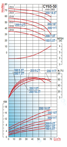 Varan Pompa CY65-50-160/5.5T 7.5hp (3000 d/d) Komple Paslanmaz Çelik (AISI 316) Kaplinli Santrifüj Pompa