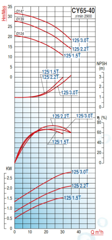 Varan Pompa CY65-40-125/2.2T 3hp (3000 d/d) Komple Paslanmaz Çelik (AISI 316) Kaplinli Santrifüj Pompa