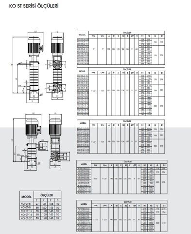 Etna  APS KO-ST 20/7-75     10Hp 380V  Komple Paslanmaz Çelik Dik Milli Çok Kademeli Santrifüj Pompa