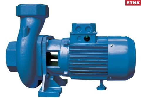 Etna ETN TRS 300 T    3Hp  380V  Yüksek Debili Santrifüj Pompa