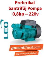 LEO AQm60 0.8HP 220v Preferikal Sürtme Fanlı Santrifüj Pompa