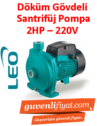 LEO ACm150 2HP 220v Döküm Gövdeli Santrifüj Pompa