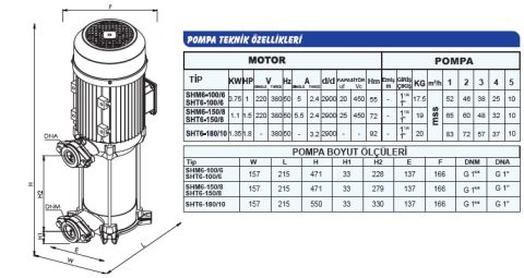 SUMAK, SHT6-100/6, 1HP, 380V, DÜŞEY MİLLİ KADEMELİ POMPA