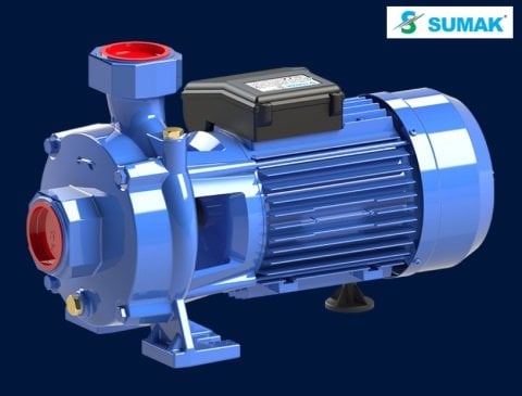 SUMAK SMK 300/2 3 HP 220 V ÇİFT KADEMELİ SANTRİFÜJ POMPA